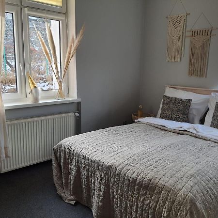Apartamenty Deptak - W Centrum Karpacza, Parking W Cenie! מראה חיצוני תמונה
