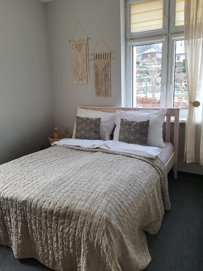 Apartamenty Deptak - W Centrum Karpacza, Parking W Cenie! מראה חיצוני תמונה