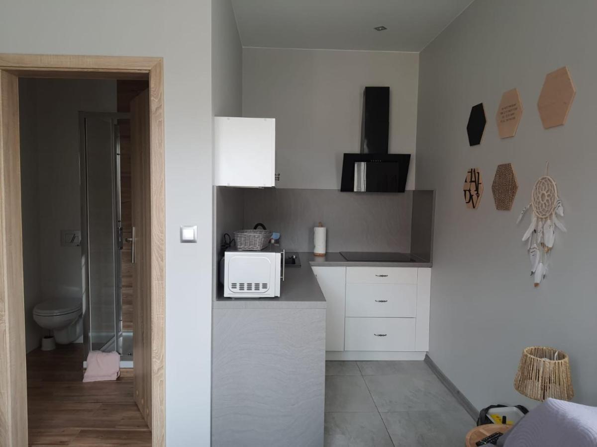 Apartamenty Deptak - W Centrum Karpacza, Parking W Cenie! מראה חיצוני תמונה