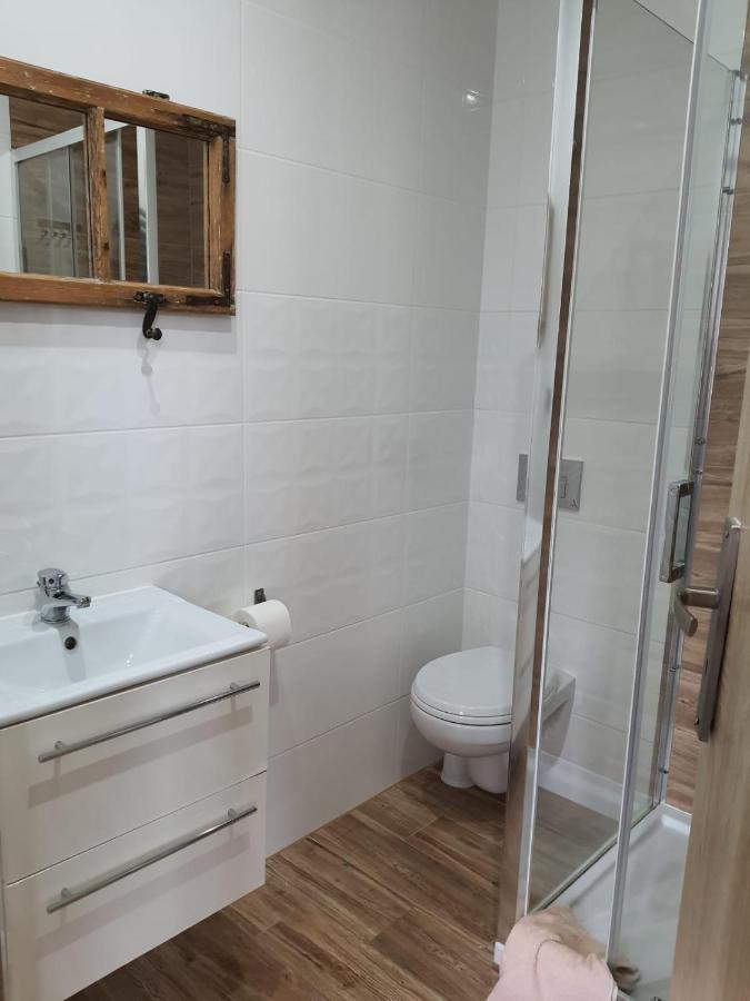 Apartamenty Deptak - W Centrum Karpacza, Parking W Cenie! מראה חיצוני תמונה