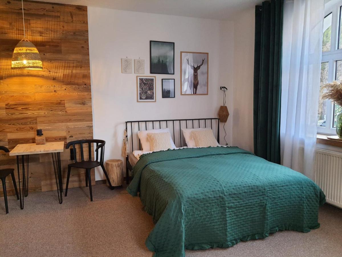 Apartamenty Deptak - W Centrum Karpacza, Parking W Cenie! מראה חיצוני תמונה