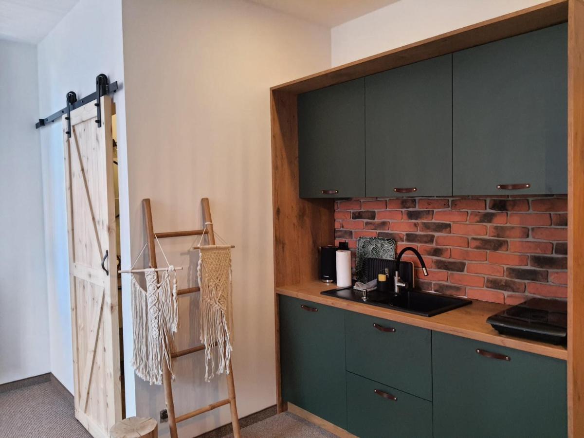 Apartamenty Deptak - W Centrum Karpacza, Parking W Cenie! מראה חיצוני תמונה