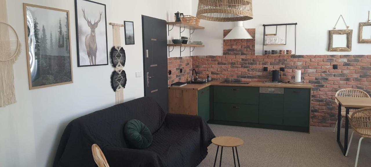 Apartamenty Deptak - W Centrum Karpacza, Parking W Cenie! מראה חיצוני תמונה