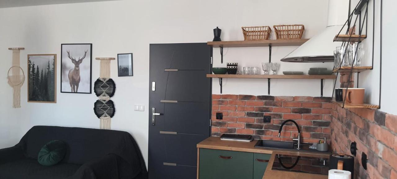Apartamenty Deptak - W Centrum Karpacza, Parking W Cenie! מראה חיצוני תמונה